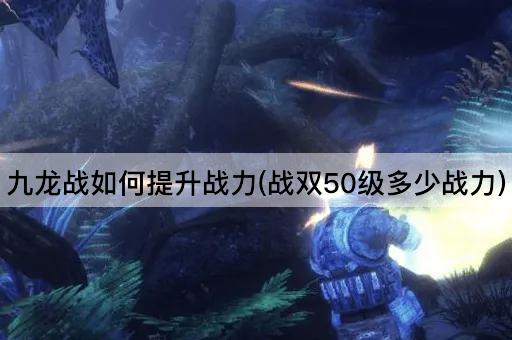 九龙战如何提升战力(战双50级多少战力)