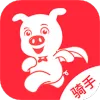 懒猪骑士
