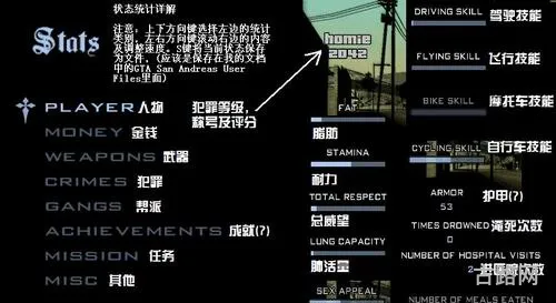 圣安地列斯CC修改器(cc修改器手机)