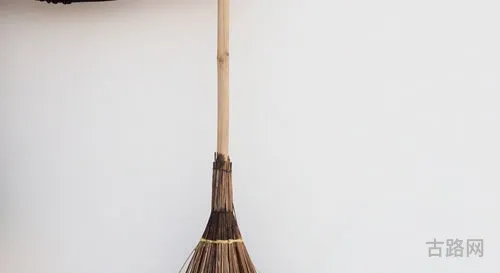 请问扫把星是什么生肖(扫把星打一动物生肖)