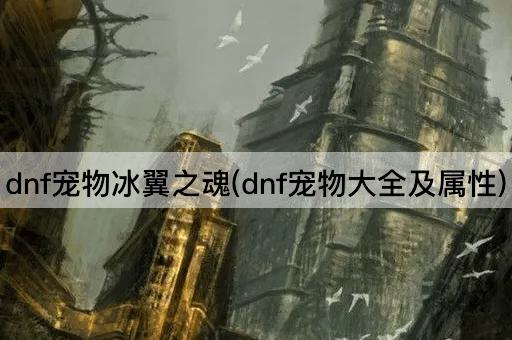 dnf宠物冰翼之魂(dnf宠物大全及属性)