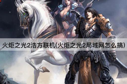 火炬之光2浩方联机(火炬之光2局域网怎么搞)