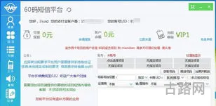 验证码接收平台(接码短信平台)