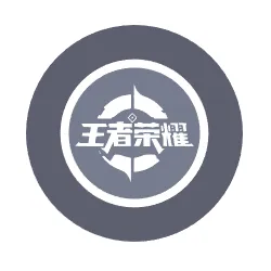 国服荣耀伪装