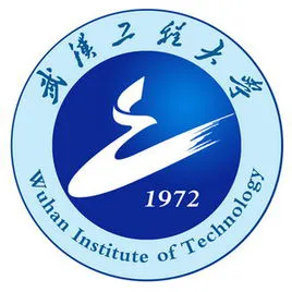 武汉工大