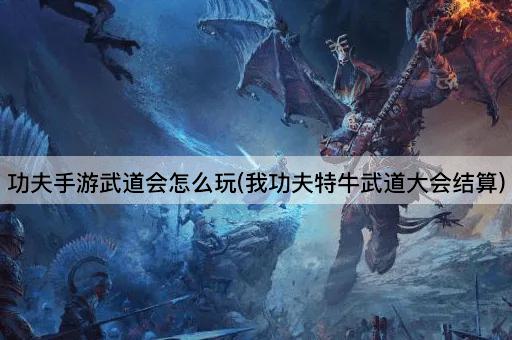 功夫手游武道会怎么玩(我功夫特牛武道大会结算)