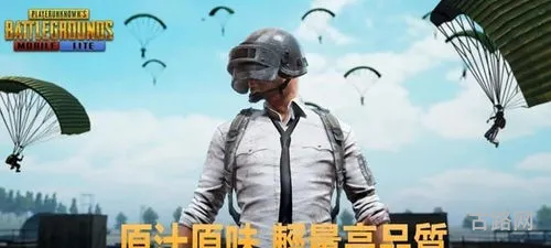 pubg国际服轻量版(绝地求生(轻量版))