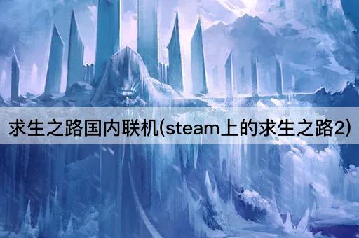 求生之路国内联机(steam上的求生之路2)